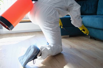 Commercial Fumigation in Kalamazoo, MI