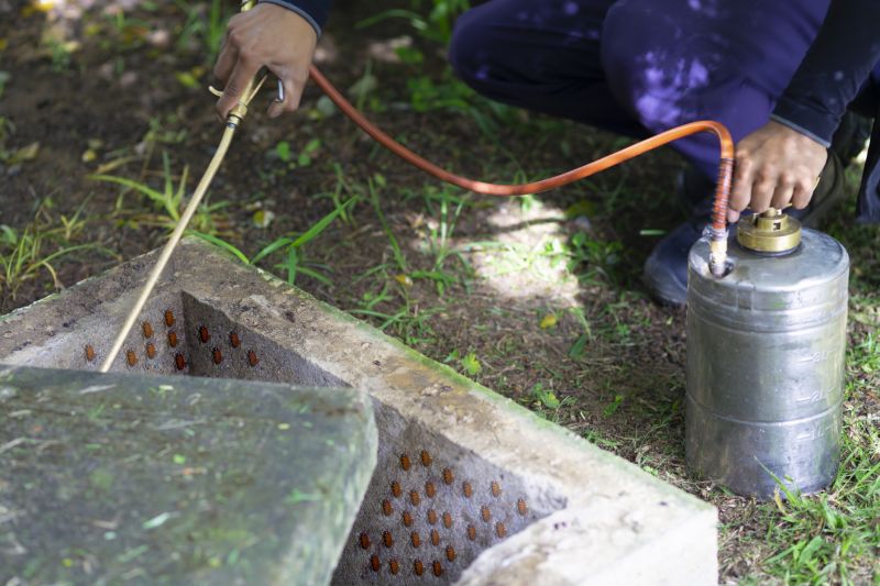 Flea Fumigation
