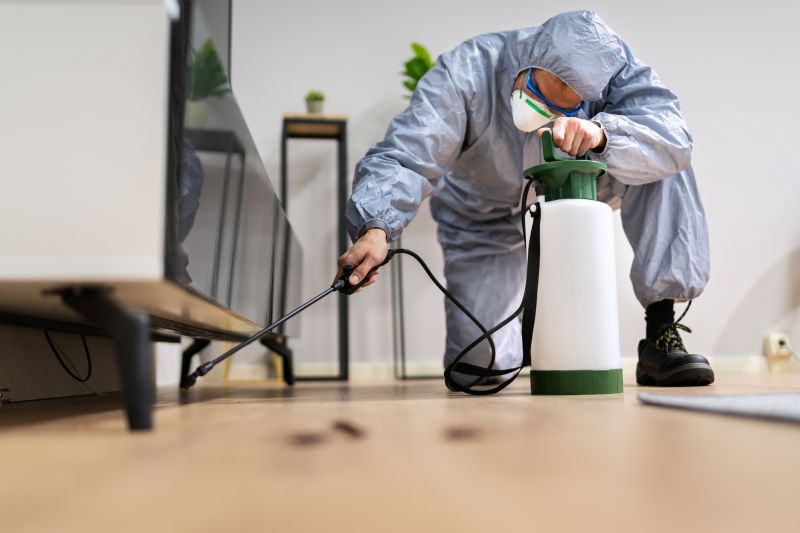Rat Fumigation Service in Clarksville, TN