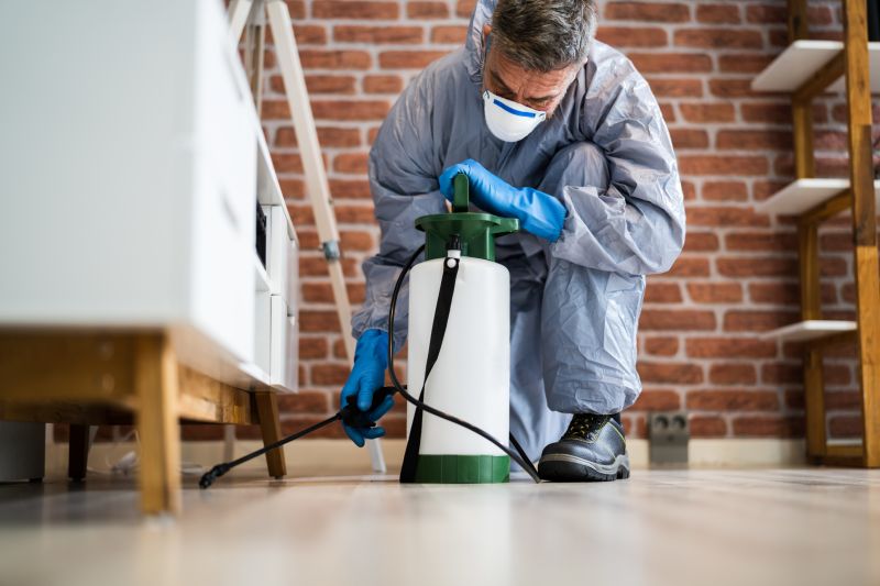 Spider Extermination Service