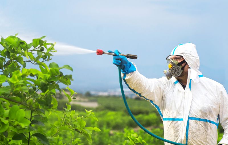 Spider Fumigation Service in Long Island, NY