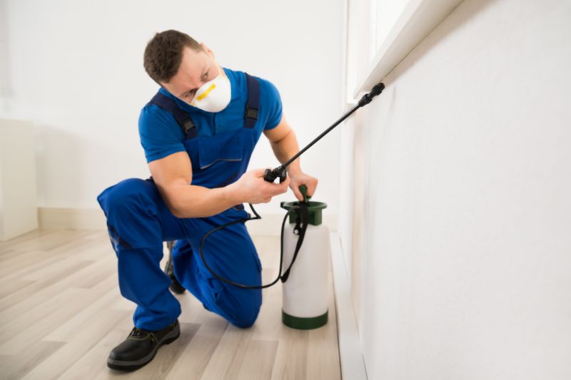 Stinging Insect Extermination