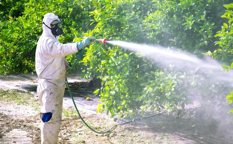 Fumigation Service in Clarksville, TN